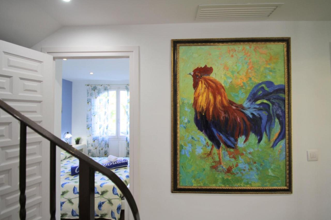 Arenda Pino Alto Villa Gallo 迈阿密普拉特亚 外观 照片